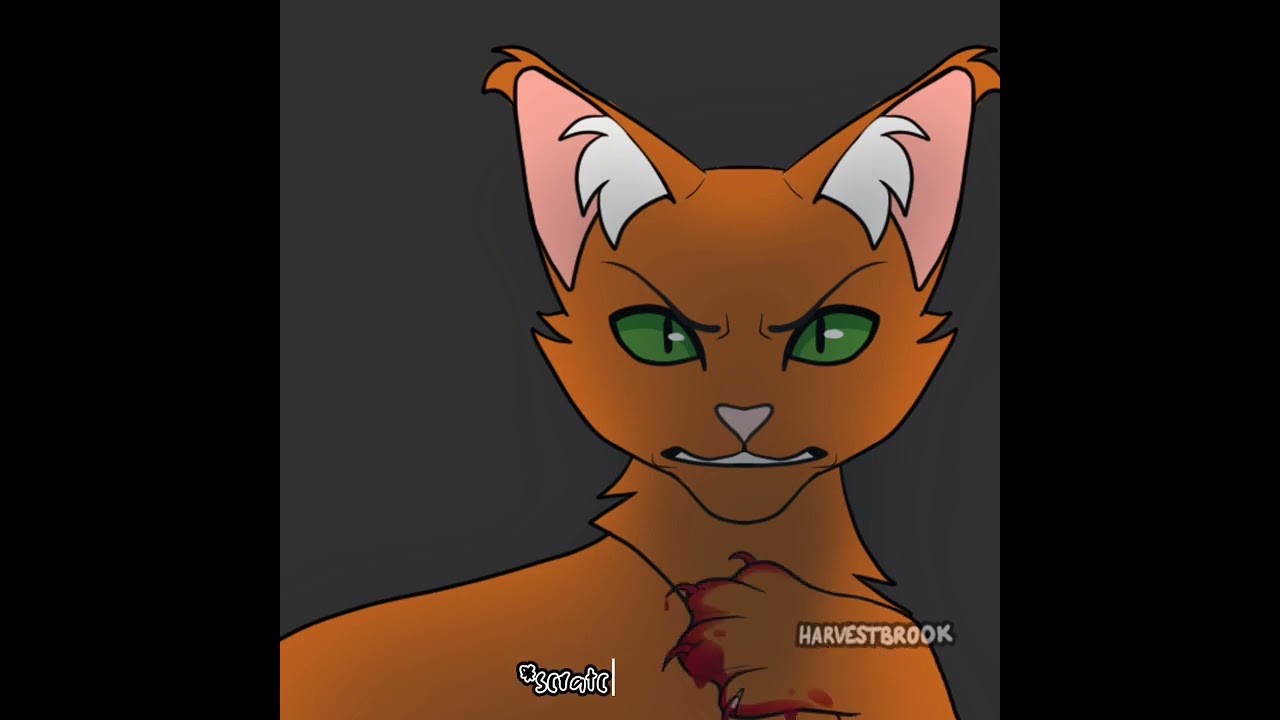 What if Firestar joined Bloodclan? Pt 1