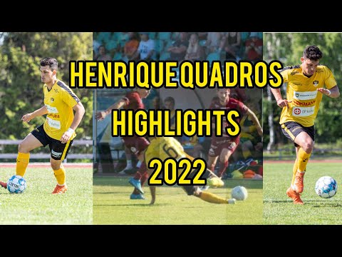 Henrique Quadros • SKILLS • 2022