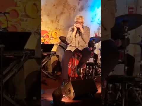 A Tear For Toots - Hendrik Meurkens Jazz Harmonica