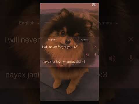 Yeontan we miss you😭😭