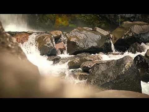 Evan - Fall In Love Part 1