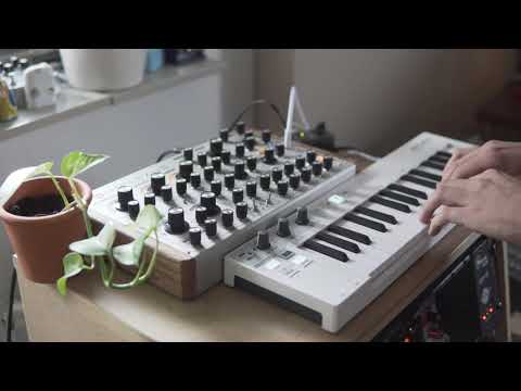 Ambient Live Looping #11 | Majella Audio IMPLEXUS, TC Electronic Ditto