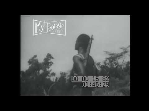 1940s 81st West Africa Division British Fight in Burma