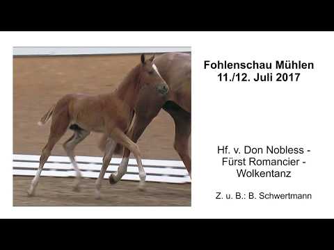 Hf v Don Nobless x Fuerst Romancier x Wolkentanz 2017