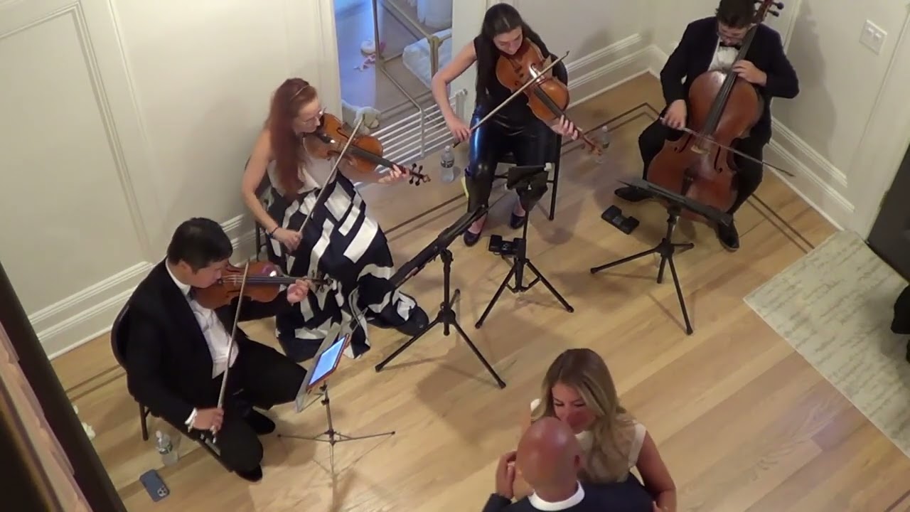Promotional video thumbnail 11 for Xinou Wei Strings