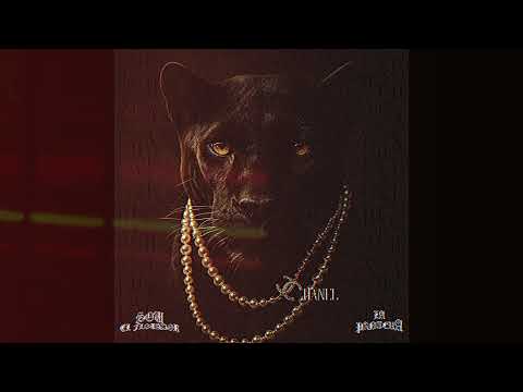 CHANEL - SOU EL FLOTADOR x LA PANTERA