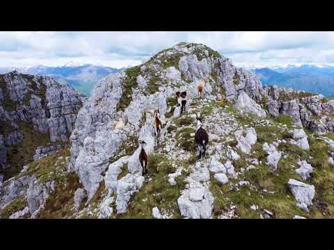 Monte Resegone rifugio Azzoni 2024
