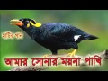 Bangla Sad Song Bangla Song Bangla New Song