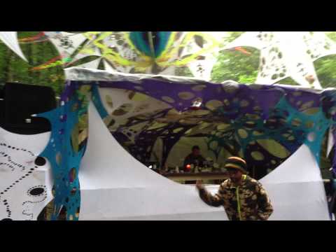 Kryptamine 2 @ Transylvania Calling 2013