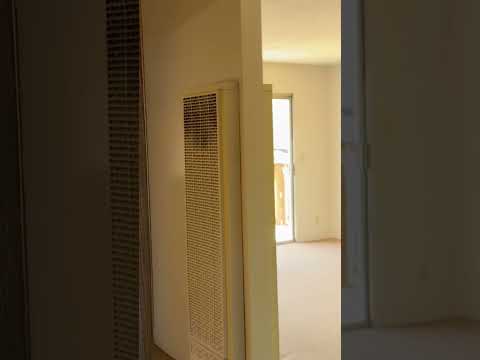 545matse - Video 2 of 2