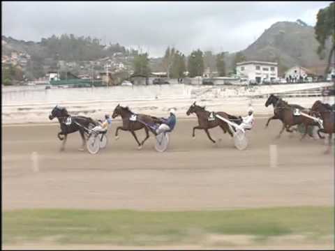 Trotto 05/02/2017 - 1ª corsa