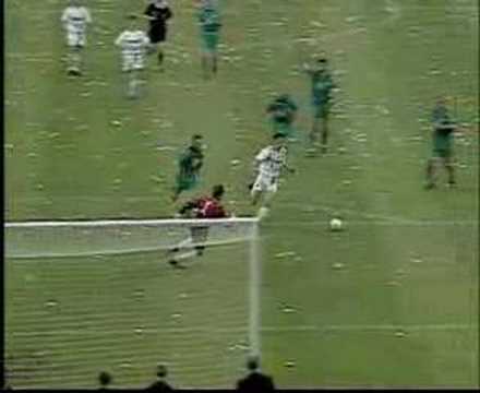 M'gladbach - Wolfsburg | DFB-Pokal Finale |  :1994/95:
