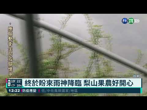 終於盼來雨神降臨 梨山果農如獲黃金