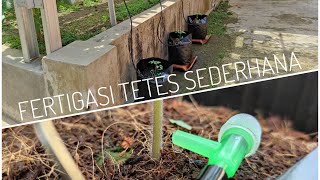 Download lagu HIDROPONIK FERTIGASI TETES SEDERHANA mp3 Download lagu HIDROPONIK FERTIGASI TETES SEDERHANA mp3