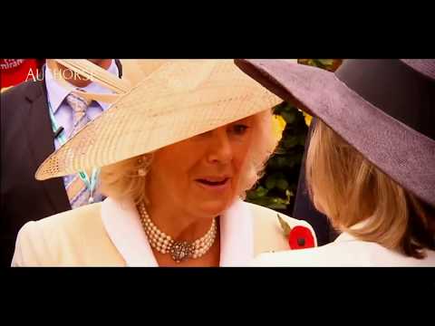 2017 Gold Coast National Weanling Sale Day 2