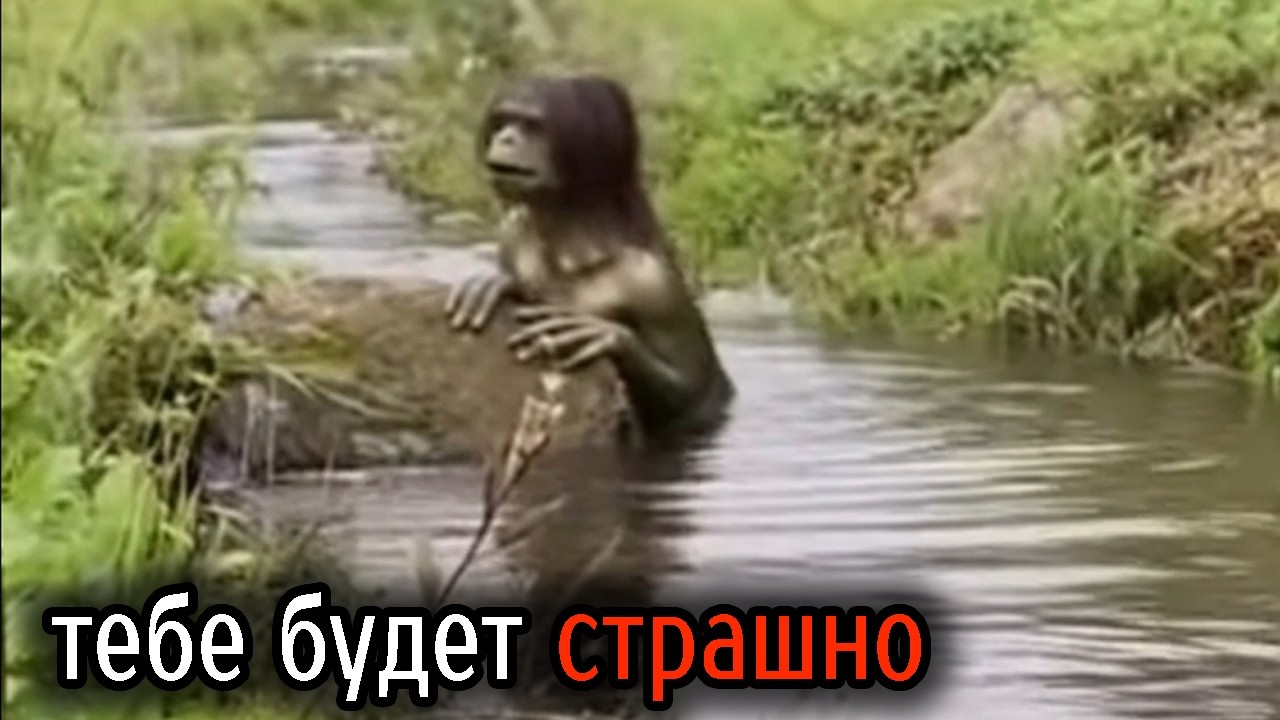 Самые Ужасные Видео со Всего Мира #75