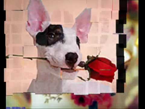 D-A UNIK FT EIBI     -    TE DY.wmv