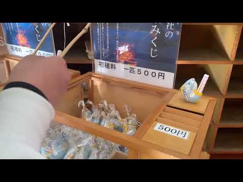 【隠れスポット②】「～各務原市で癒されよう～　手力雄神社編」｜中部学院大学・中部学院大学短期大学部