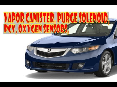 Acura TSX. Emissions locations: PCV, Oxygen sensors, EVAP canister & purge