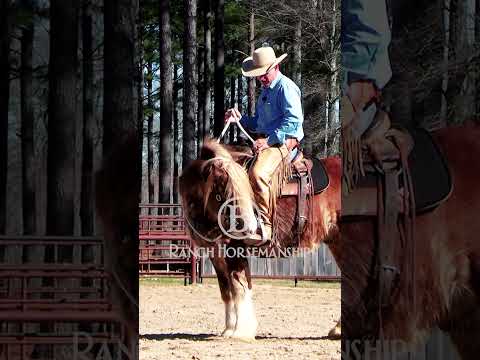 1 Just keep encouraging that light feel #b1horsemanship #es20 #beone #b1