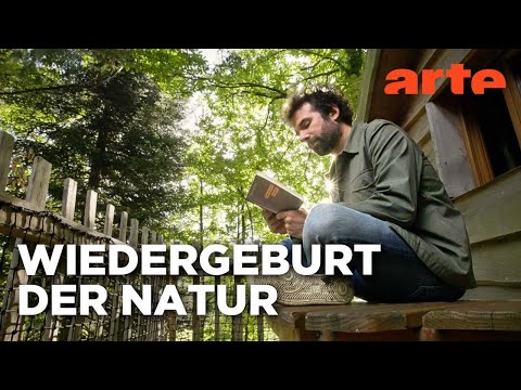 Regeneration | Eine neue Welt (3/3) Reupload | ARTE