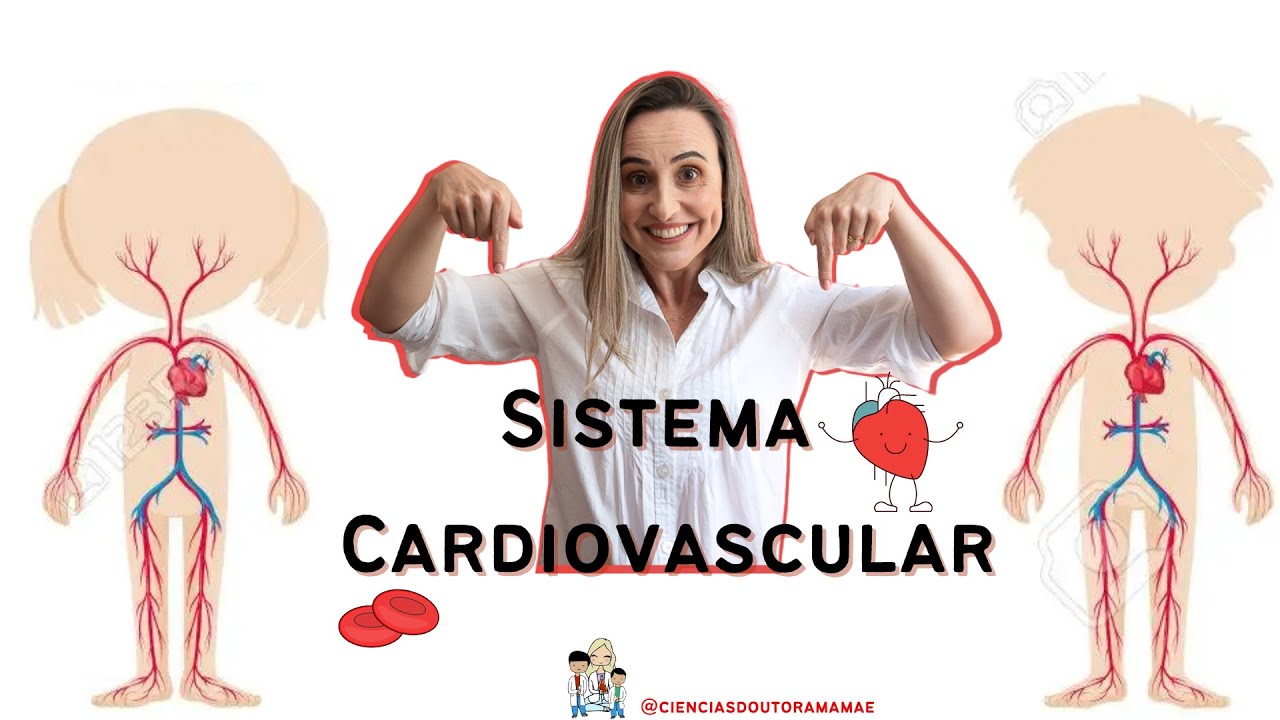 Sistema Cardiovascular 5 ano Fundamental 1