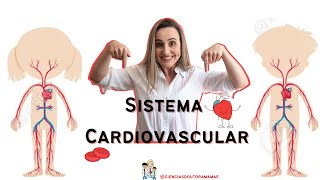 Sistema Cardiovascular 5 ano Fundamental 1