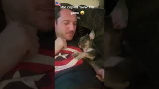 Hilarious Dogs Copy Human Actions Compilation #FunnyDogs #PetMoments #DogImitatesHuman