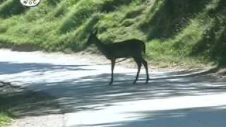 preview picture of video 'The wonderful valley of Olimje by Ecos - World On Communications Italy'