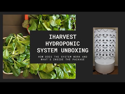 iHarvest- Hydroponic System Unboxing- How does the system work and what is inside the package