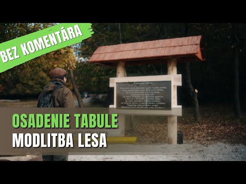 BEZ KOMENTÁRA - Hlivištia ponúkajú lesnú pedagogiku