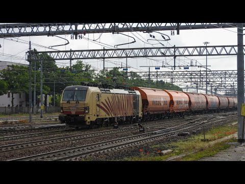 E652.004 "PROTOTIPO" IN NUOVA LIVREA | E193.777 | E494.233 MEDWAY E TANTO ALTRO A PADOVA [PT.1]