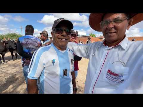 Gado de 400 em São José da Tapera - AL 17 - 01 - 2026 #nordeste 