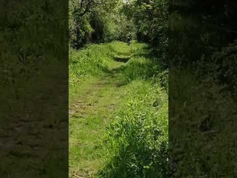 Thumbnail for Honda PA50 Hobit / Camino Green laning off road UK by Honda PA50