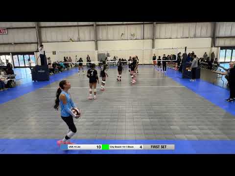 2026-01-24 | PLQ | G2 S1 | UVA 14 Jel vs City Beach 14-1 Black