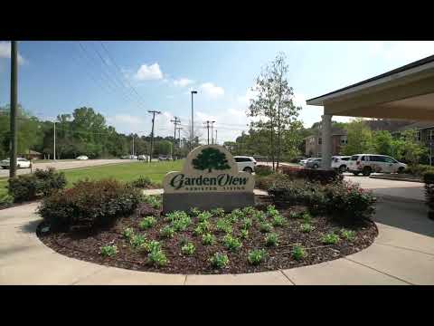 Video 1