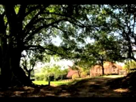 Sobre a Cidade de Mococa - SP