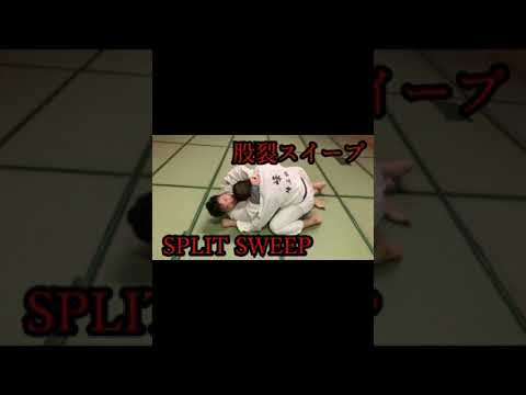 【寝技】股裂スイープ Split Seeep from Half Guard