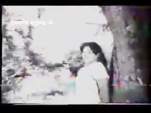 ඉර නමට සැවොම ගැති වේවි/ වරදට දඩුවම චිත්‍රපටයේ