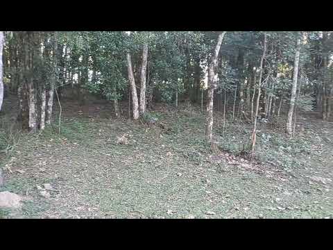 Um pouco da Área Rural da cidade de Tijucas do Sul Paraná. #curitiba #Tijucasdosul