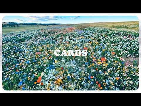 ADMT - Cards (Lyric Video)