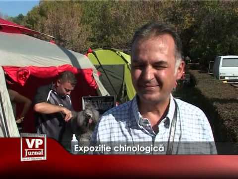 Expoziție chinologică