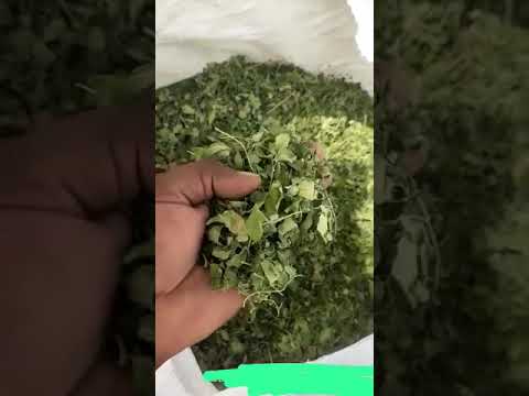 Moringa Dried Leaves