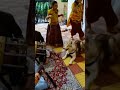 Naughty Boy Dog Funny Comedy Smile Happy Shorts Tamil Pets Tirupur Straykids Cute