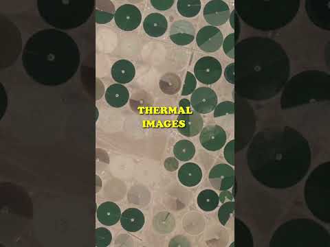What are these Strange Circles in Saudi Arabia? Subscribe to find out! #shorts #agriculture #viral