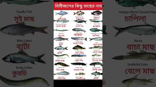 Download lagu মিষ্টিজলের কিছু মাছের নাম #শর্ট #vocabulary #viral#shorts mp3