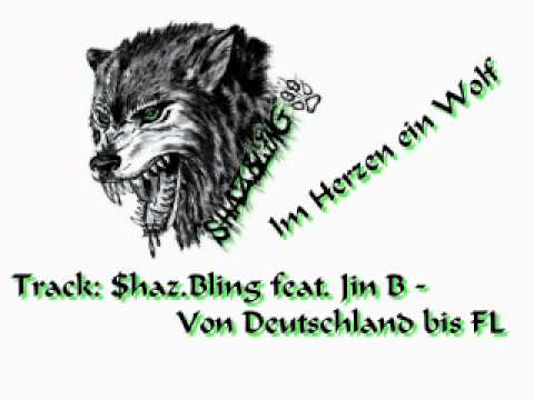 $haz.Bling und Jin B. - Von Deutschland bis FL