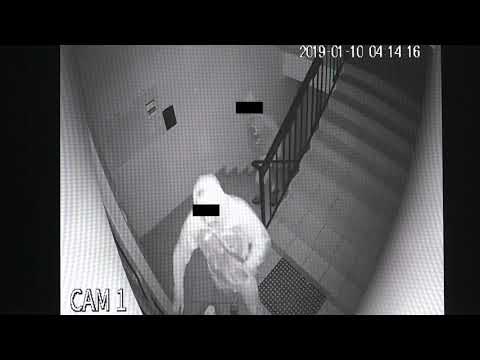 Złodzieje-patrioci, czyżby kumple stefka z gdańska
