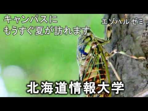 ＜2020年6月号＞HIUキャンパス便り