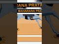 CHETAK Power Maharana Pratap Horse MAHARANA PRATAP STATUS